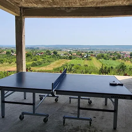 Pensiunea Diana Guest house