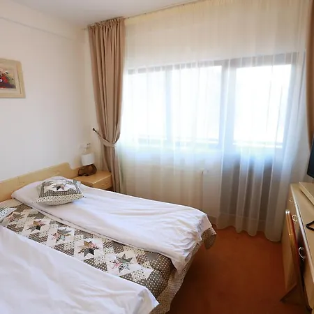 Pensiunea Diana Guest house Argeselu