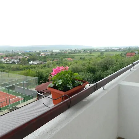 Pensiunea Diana 3* Argeselu
