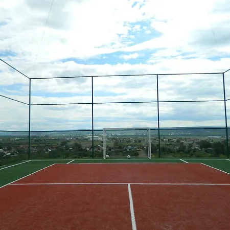 Pensiunea Diana Guest house Argeselu