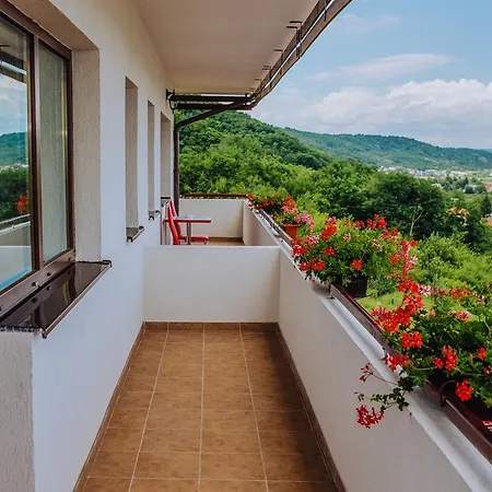 Pensiunea Diana Guest house 3*